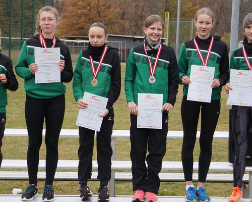 Hessische Meisterschaften im Straßenlauf - 2 x Meister / 3 x Vizemeister / ...