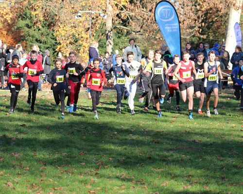 Waldsträßer Crosslauf mit Kreismeisterschaften für die Altersklassen U10 - U 16