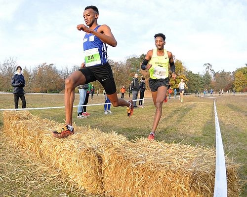 Laura Hottenrott und Ilyas Osman glänzen mit Top-Zeiten beim "10k Invitational" Rennen in Berlin - auch die alle weiteren hessischen Langstreckler pulverisieren gleich zum Jahresauftakt ihre Bestzeiten über die 10 Kilometer