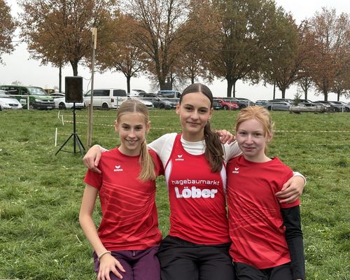 Ein Titel, zweimal Vize und zweimal Bronze