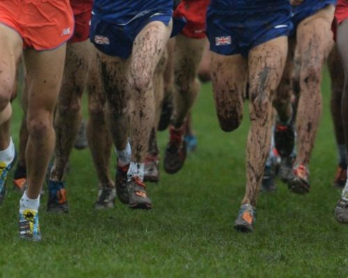 100 Hessen bei Cross-DM in Ingolstadt am Start